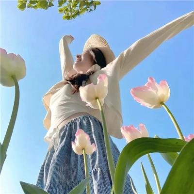 美国泡菜 在线观看封面